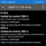Screenshot_2025-11-13-20-51-06-078_com.ovz.carscanner-edit.jpg