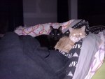 01022011062.jpg 01022011062.jpg