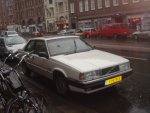 DSC00181.JPG