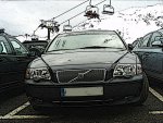 s80enformigalp4273303.jpg