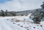 DSC_0084.jpg