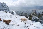 DSC_0089.jpg