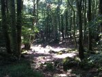 19062011598.jpg 19062011598.jpg