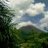 toli_xc