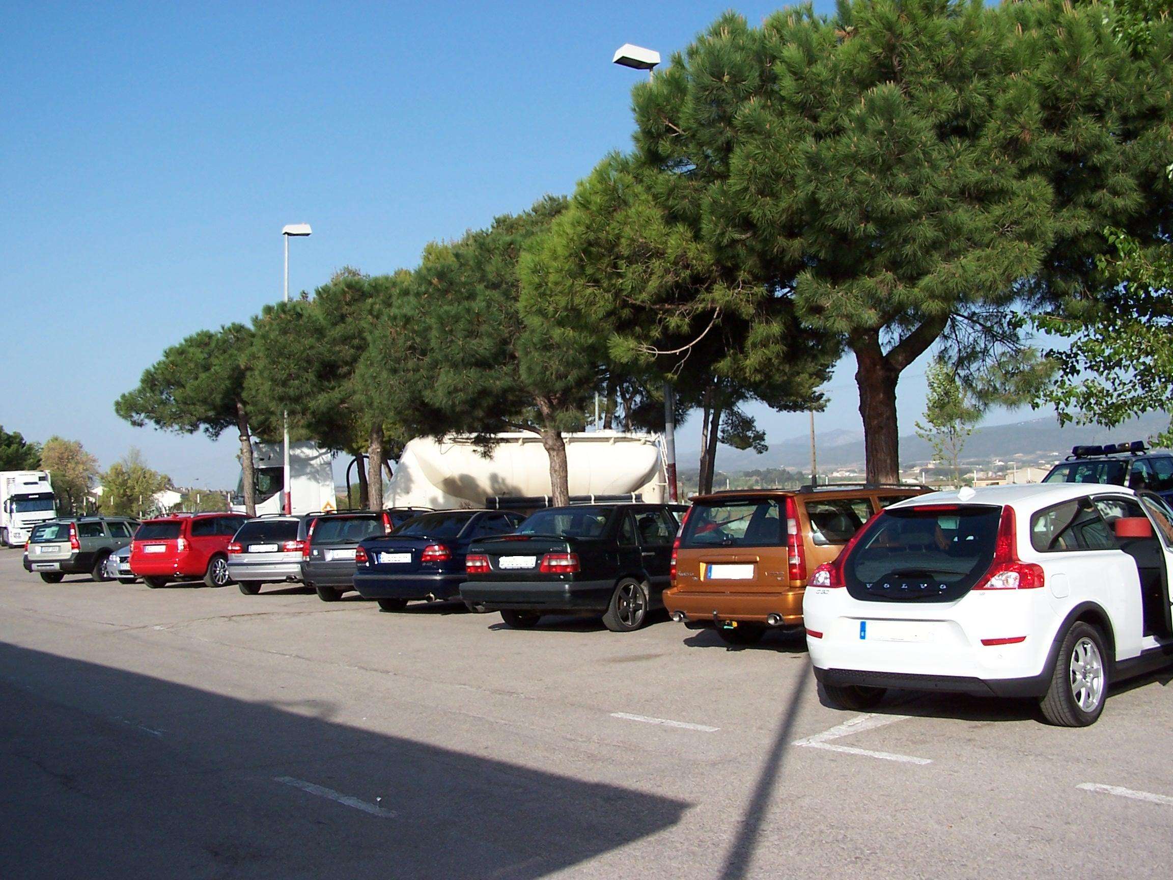 1006069w.jpg