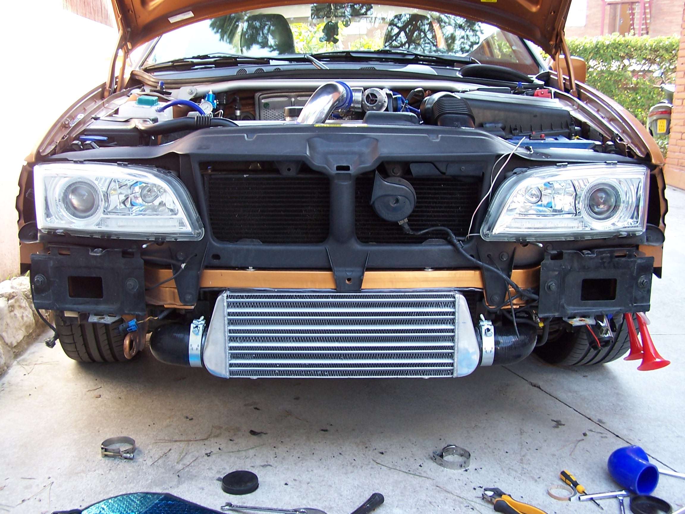 1005055w.jpg