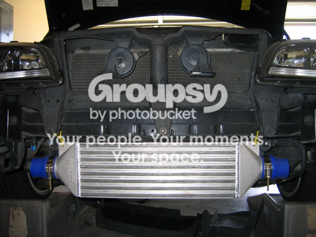 IMG_7971.jpg