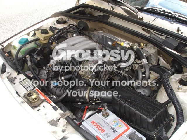 DSC05895.jpg
