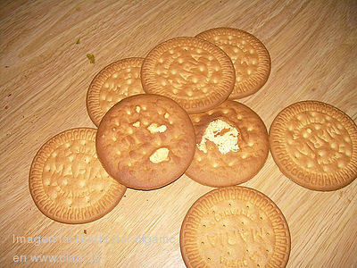 galletasmaria.jpg