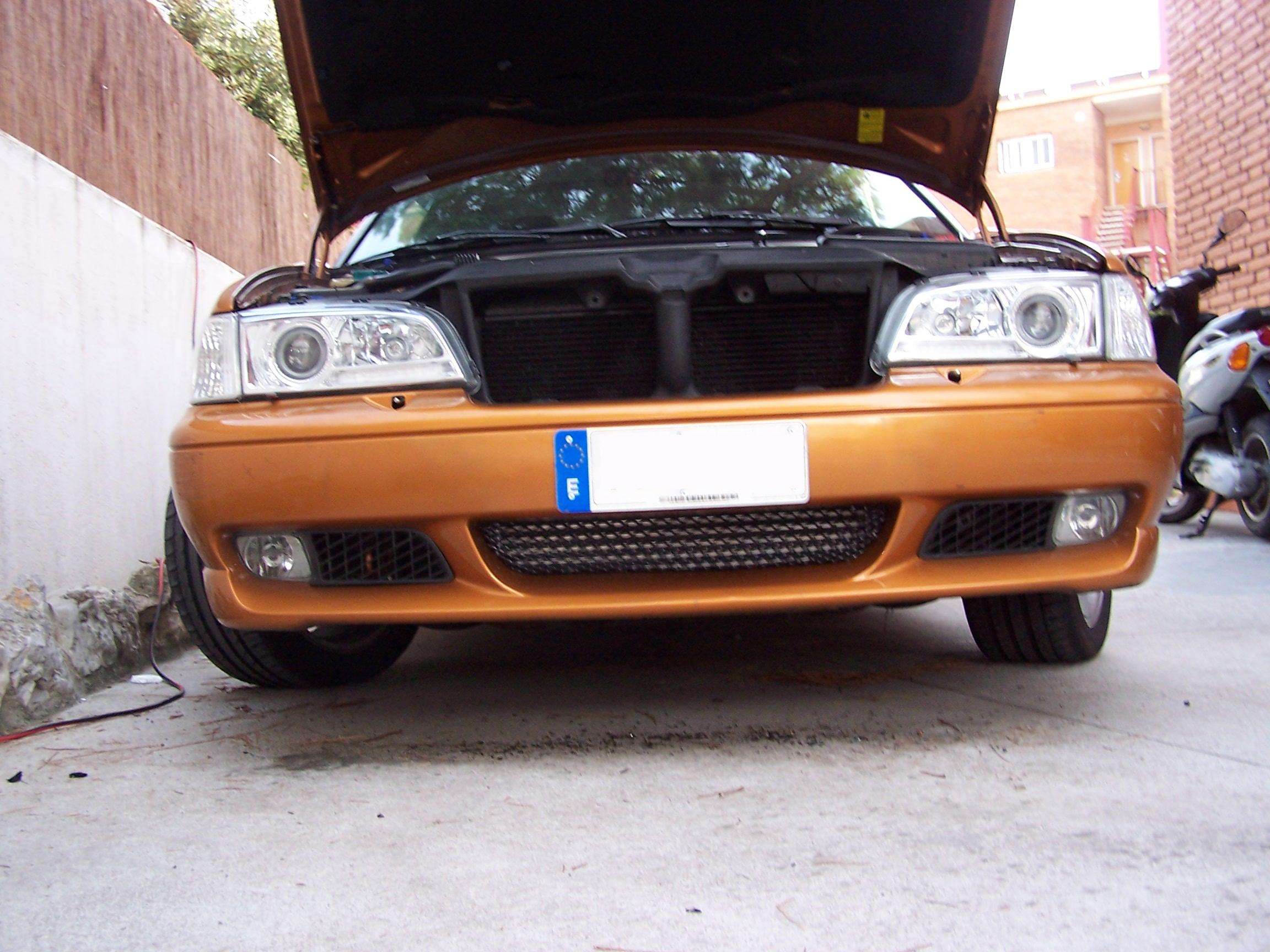 1004608v.jpg