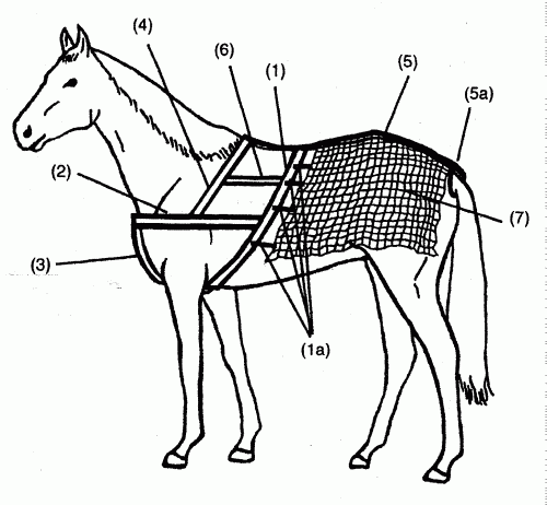 arnes-con-un-dispositivo-colector-de-orina.png