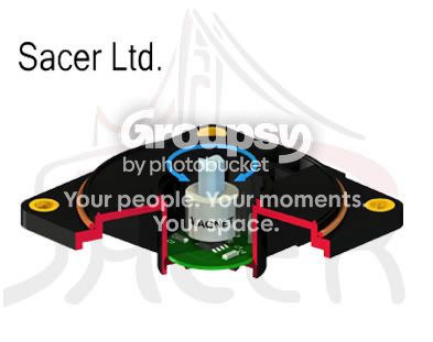 sacer2.jpg