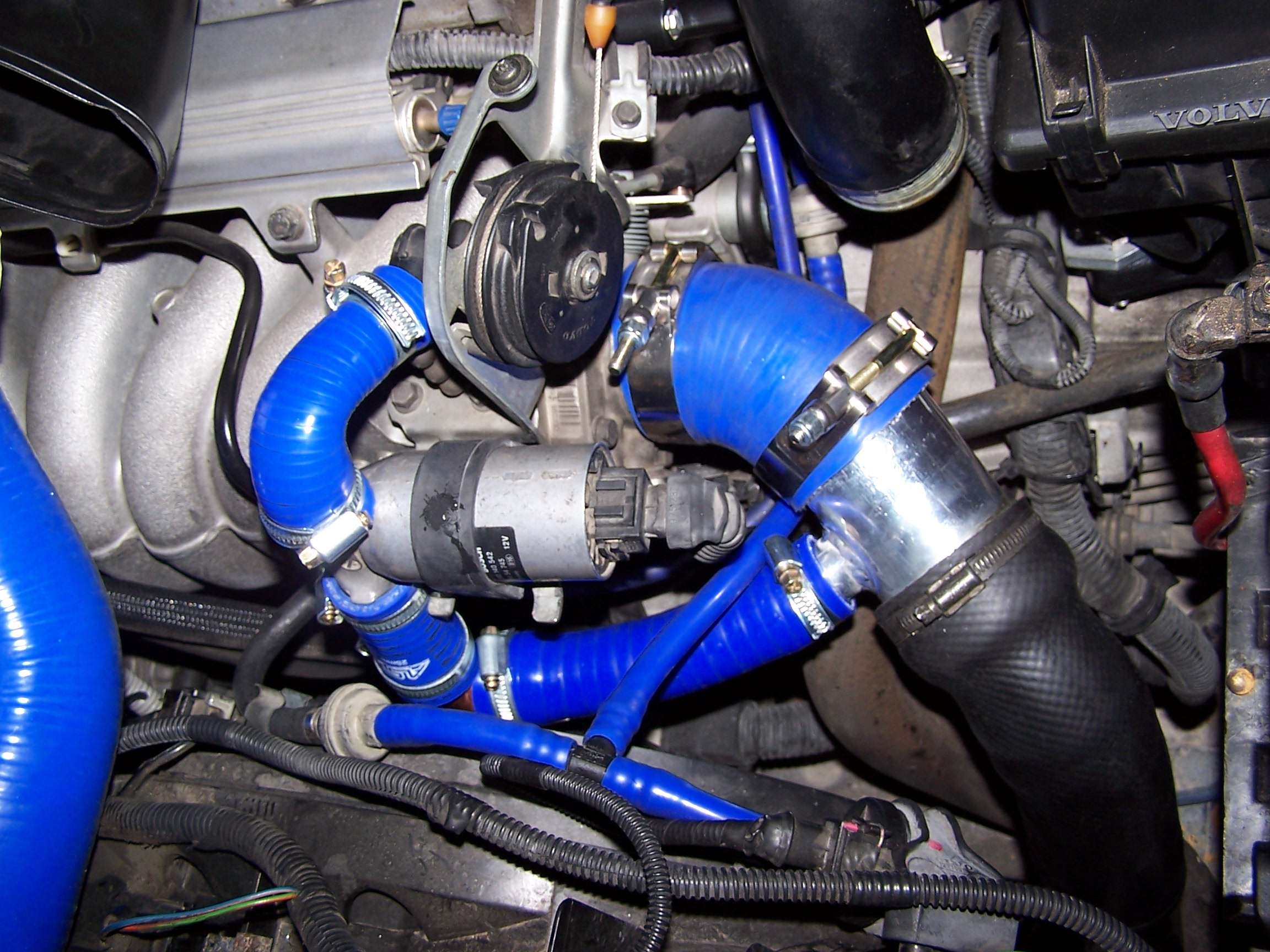1004624f.jpg